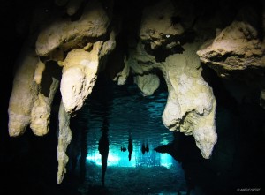 Cenote diving "Grand Cenote" & "Dos Ojos"